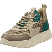 Baskets basses Steve Madden Sneaker