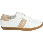 Baskets basses Paul Green Sneaker