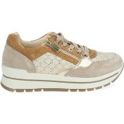 Baskets basses IgI&amp;CO Sneaker