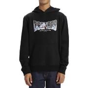 Sweat-shirt DC Shoes Astro