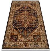 Tapis Rugsx Tapis KESHAN franges, Ornement, cadre oriental 288 160x230...