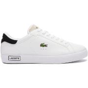 Baskets Lacoste -