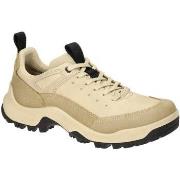 Chaussures Ecco -