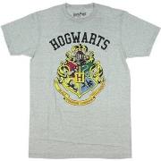 T-shirt Harry Potter HE1914