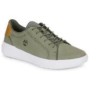 Baskets basses Timberland SENECA BAY OXFORD