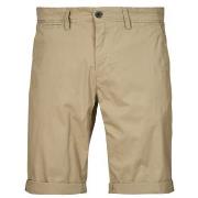 Short Teddy Smith SHORT CHINO