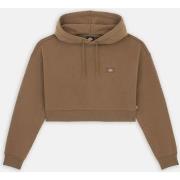 Sweat-shirt Dickies OAKPORT CROPPED HOODIE