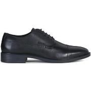 Ville basse Geox U Gladwin scarpa elegante