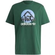 T-shirt adidas ic2360adv_mountain_tee_verde