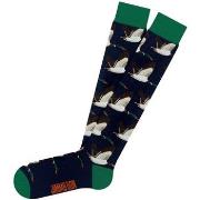 Chaussettes Jimmy Lion -