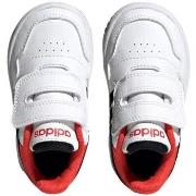 Chaussures adidas -