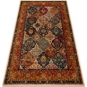 Tapis Rugsx Tapis en laine POLONIA Azer cadre, oriental, 200x300 cm