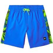 Maillots de bain enfant O'neill 4800031-45045