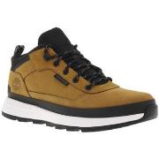 Baskets basses Timberland 102356