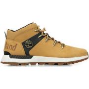 Baskets Timberland Sprint Trekker Mid Lace Sneaker