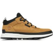 Baskets Timberland Filed Trekker Low Lace Sneaker