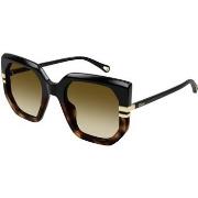 Lunettes de soleil Chloe CH0240S Lunettes de soleil, Noir/Marron, 53 m...