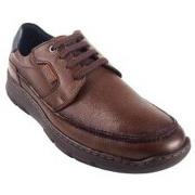 Chaussures Baerchi Chaussure homme 6130 marron