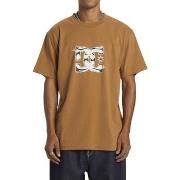 T-shirt DC Shoes DC Star Classic