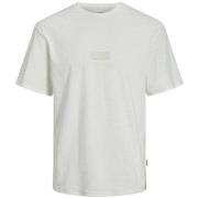 T-shirt Jack &amp; Jones 161477VTPE24