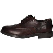 Derbies Arcuri Ama 02 Francesina Homme