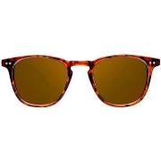 Lunettes de soleil Northweek Wall Tortoise Polarisees