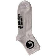 Chaussettes Compagnie de Californie Low Cut