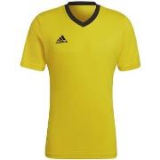 T-shirt adidas Entrada 22