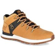 Baskets Timberland sprint trekker mid