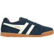 Baskets Gola Harrier Suede