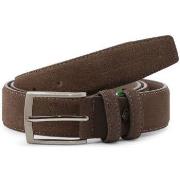 Ceinture Lumberjack - LK1761