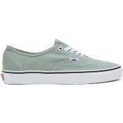 Chaussures de Skate Vans Authentic