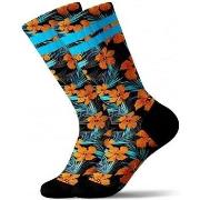 Chaussettes Pullin Chaussettes Homme Coton ORANGEFLO Bleu