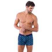 Boxers Achile Pack de 2 boxers en coton bio motifs FLONCONS et uni