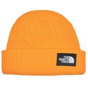 Bonnet The North Face SALTY LINED BEANIE