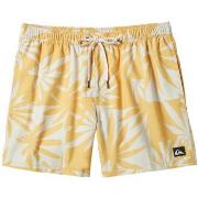 Maillots de bain Quiksilver Everyday Mix Volley 15"