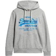 Sweat-shirt Superdry Sweat à Capuche Neon VL Graphic