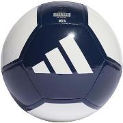 Ballons de sport adidas Epp clb