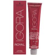 Colorations Schwarzkopf Igora Royal 4-88