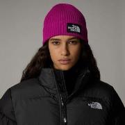 Chapeau The North Face NF0A3FJX - LOGO BOX CUFFED-1I71 Deep Mulberry