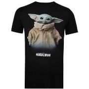 T-shirt Star Wars: The Mandalorian TV504