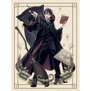 Affiches, posters Harry Potter PM10774