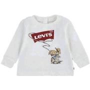 Coupes vent Levis -