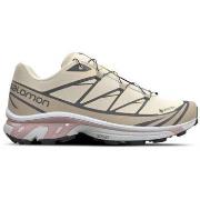 Chaussures Salomon Baskets XT-6 GTX Femme Almond Milk/Feather Gray/Pal...