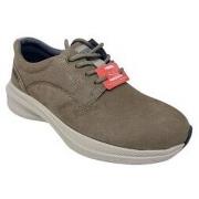 Chaussures Paredes Chaussure homme 24574 taupe