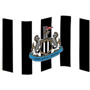 Accessoire sport Newcastle United Fc TA12321