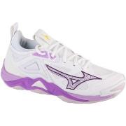 Chaussures Mizuno Wave Momentum 3