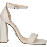 Sandales Steve Madden Sandales