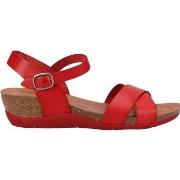 Sandales Cosmos Comfort Sandales