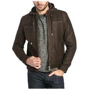 Blouson Daytona Blouson en cuir Scaroni Ref 50629 Brown